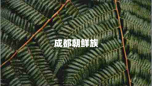 成都朝鮮族