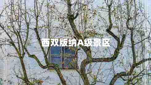 西雙版納A級(jí)景區(qū) 西雙版納A級(jí)景區(qū)