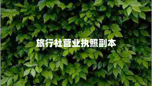 旅行社營(yíng)業(yè)執照副本