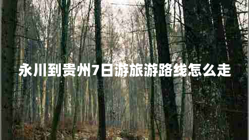 永川到貴州7日游旅游路線怎么走 永川到貴州7日游旅游路線怎么走