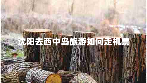 沈陽(yáng)去西中島旅游如何走機票