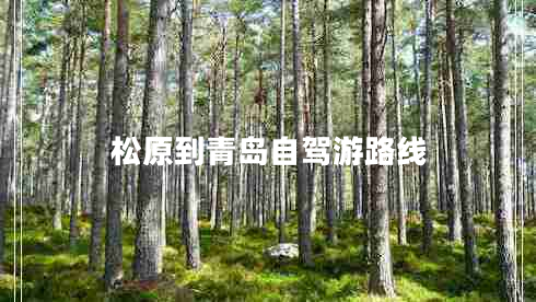 松原到青島自駕游路線(xiàn)