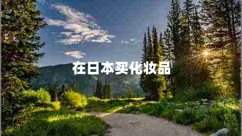 在日本買(mǎi)化妝品