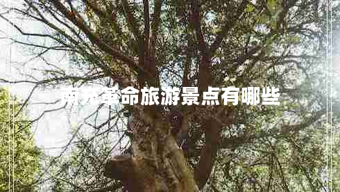 南充革命旅游景點(diǎn)有哪些