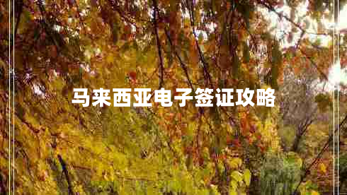 馬來(lái)西亞電子簽證攻略