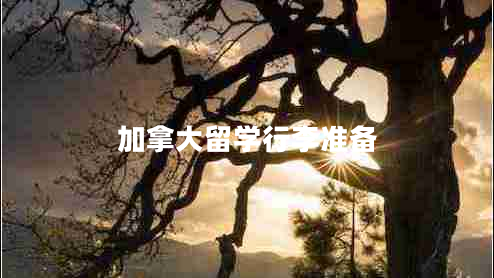 加拿大留學(xué)行李準(zhǔn)備 加拿大留學(xué)行李準(zhǔn)備