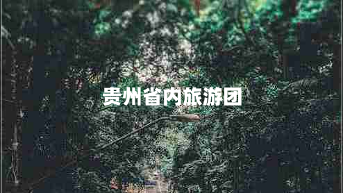 貴州省內旅游團