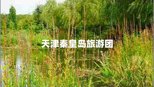 天津秦皇島旅游團 天津秦皇島旅游團