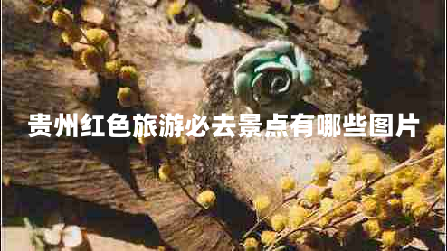 貴州紅色旅游必去景點(diǎn)有哪些圖片 貴州紅色旅游必去景點(diǎn)有哪些圖片
