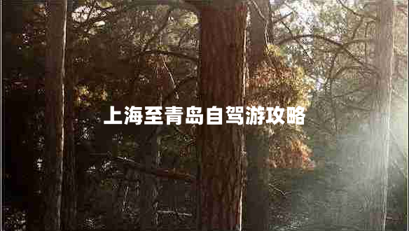 上海至青島自駕游攻略