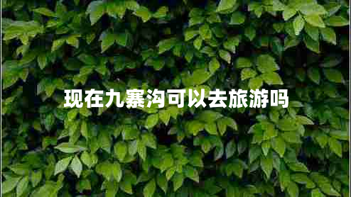現(xiàn)在九寨溝可以去旅游嗎 現(xiàn)在九寨溝可以去旅游嗎