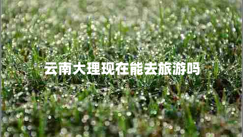 云南大理現在能去旅游嗎