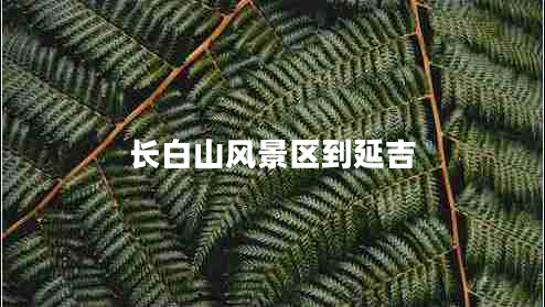 長(zhǎng)白山風(fēng)景區(qū)到延吉