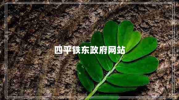 四平鐵東政府網(wǎng)站