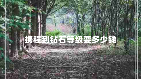 攜程到鉆石等級要多少錢(qián)
