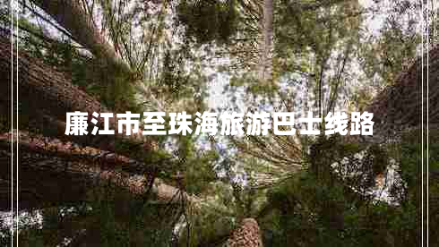 廉江市至珠海旅游巴士線路 廉江市至珠海旅游巴士線路