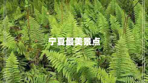 寧夏最美景點(diǎn)