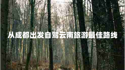 從成都出發(fā)自駕云南旅游最佳路線(xiàn)
