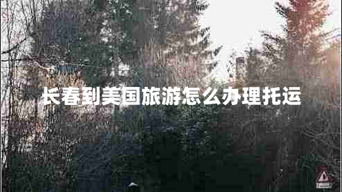 長(cháng)春到美國旅游怎么辦理托運