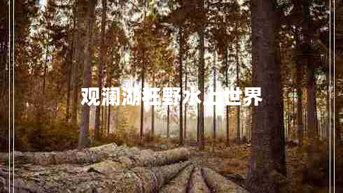觀(guān)瀾湖狂野水上世界