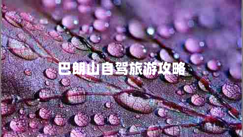 巴朗山自駕旅游攻略