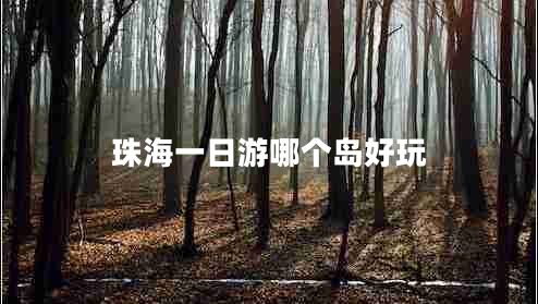 珠海一日游哪個(gè)島好玩
