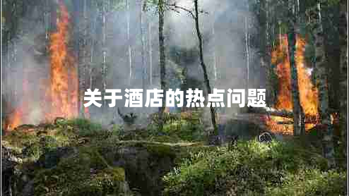 關(guān)于酒店的熱點(diǎn)問(wèn)題