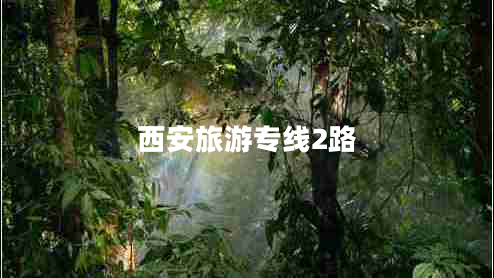 西安旅游專線2路 西安旅游專線2路