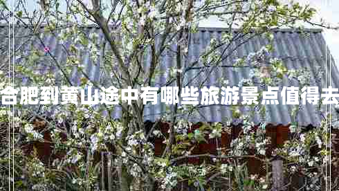 合肥到黃山途中有哪些旅游景點(diǎn)值得去