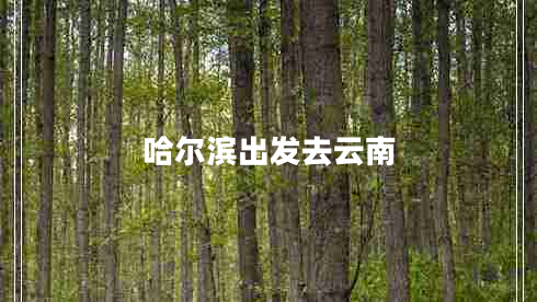 哈爾濱出發(fā)去云南