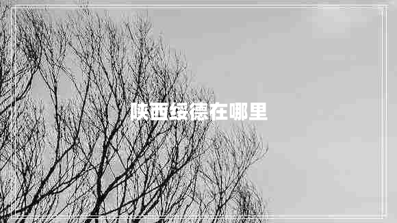陜西綏德在哪里