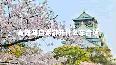 青海湖自駕游開(kāi)什么車(chē)合適