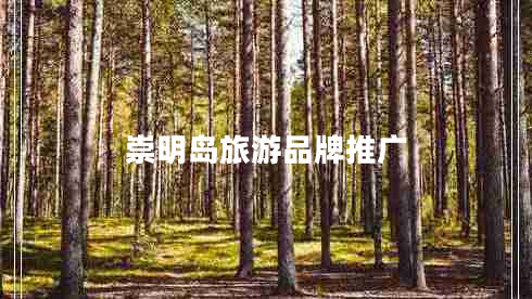 崇明島旅游品牌推廣 崇明島旅游品牌推廣