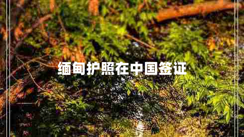 緬甸護照在中國簽證