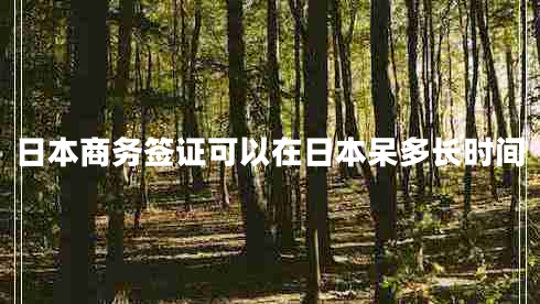 日本商務(wù)簽證可以在日本呆多長(cháng)時(shí)間