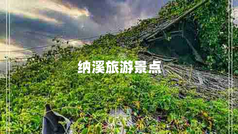 納溪旅游景點(diǎn) 納溪旅游景點(diǎn)