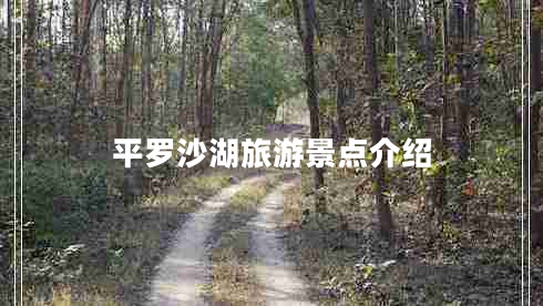平羅沙湖旅游景點(diǎn)介紹
