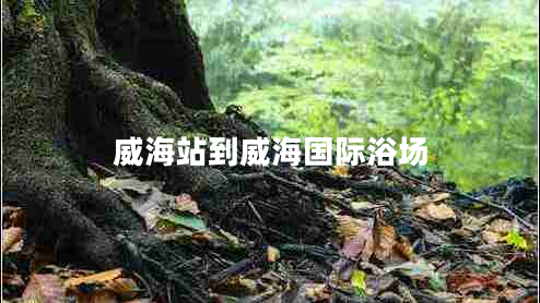 威海站到威海國際浴場(chǎng)