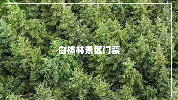 白樺林景區門(mén)票