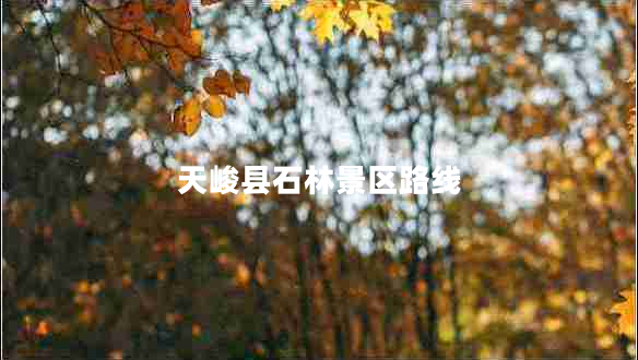 天峻縣石林景區路線(xiàn)