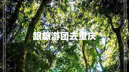 跟旅游團去重慶