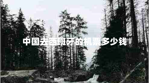 中國去西班牙的機票多少錢(qián)