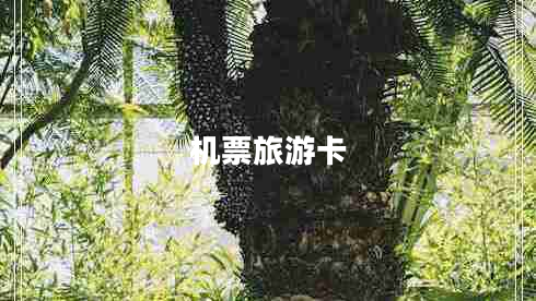 機票旅游卡