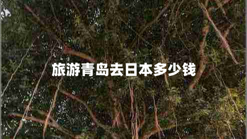 旅游青島去日本多少錢(qián)