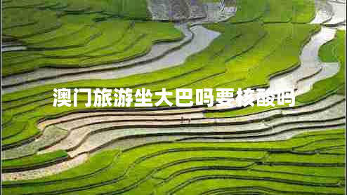 澳門旅游坐大巴嗎要核酸嗎 澳門旅游坐大巴嗎要核酸嗎