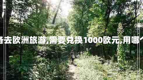你準備去歐洲旅游,需要兌換1000歐元,用哪個(gè)價(jià)格