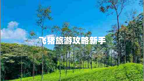 飛豬旅游攻略新手