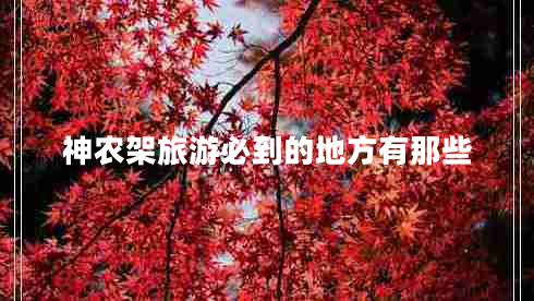 神農架旅游必到的地方有那些