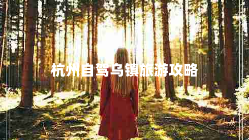 杭州自駕烏鎮旅游攻略