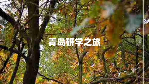 青島研學(xué)之旅
